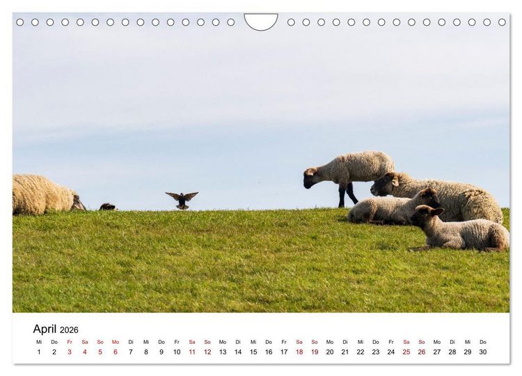 Produktbild: Ostfriesland - Ein Jahr in Bildern (Wandkalender 2026 DIN A4 quer), CALVENDO Monatskalender