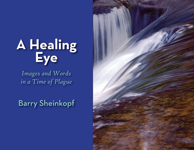 Produktbild: A Healing Eye