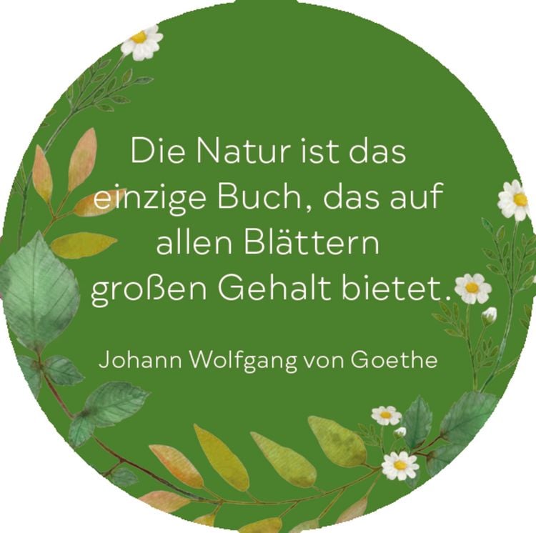 Produktbild: Spr&uuml;chedose &ndash; Nimm eins! Momente zum Durchatmen f&uuml;r dich