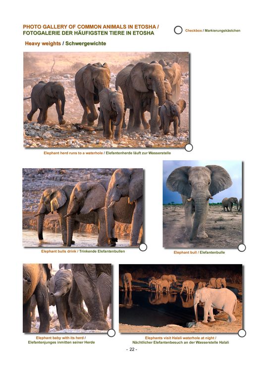 Produktbild: ETOSHA KARTE mit Fotogalerie