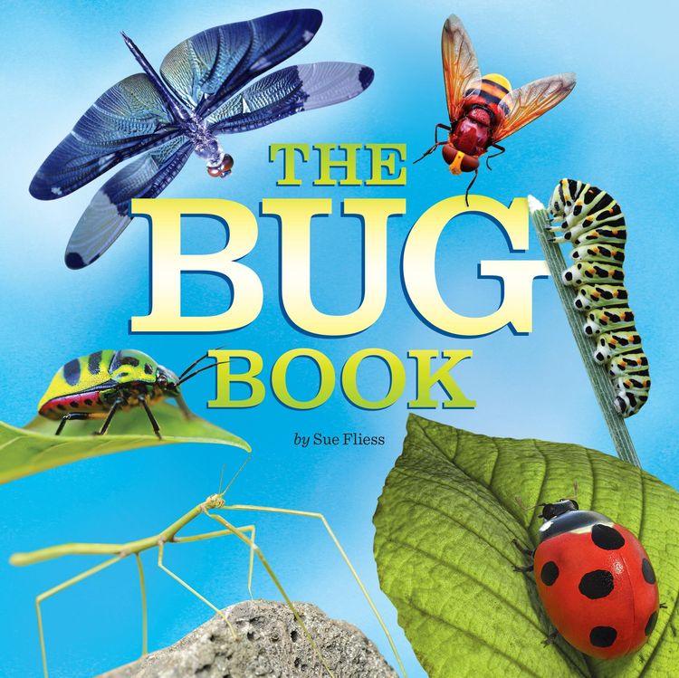 Produktbild: The Bug Book