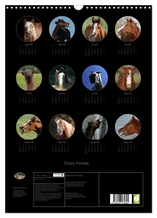 Produktbild: Crazy horses (Wandkalender 2026 DIN A3 hoch), CALVENDO Monatskalender