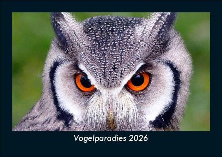Produktbild: Vogelparadies 2026 Fotokalender DIN A5