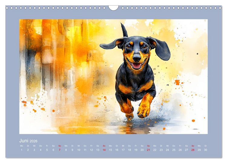 Produktbild: Dackelzauber. Charmante Begleiter im lieblichen Aquarell-Stil (Wandkalender 2026 DIN A3 quer), CALVENDO Monatskalender