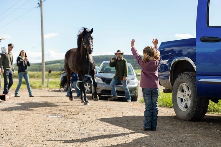 Produktbild: Heartland - Paradies f&uuml;r Pferde - Staffel 16 [4 DVDs]