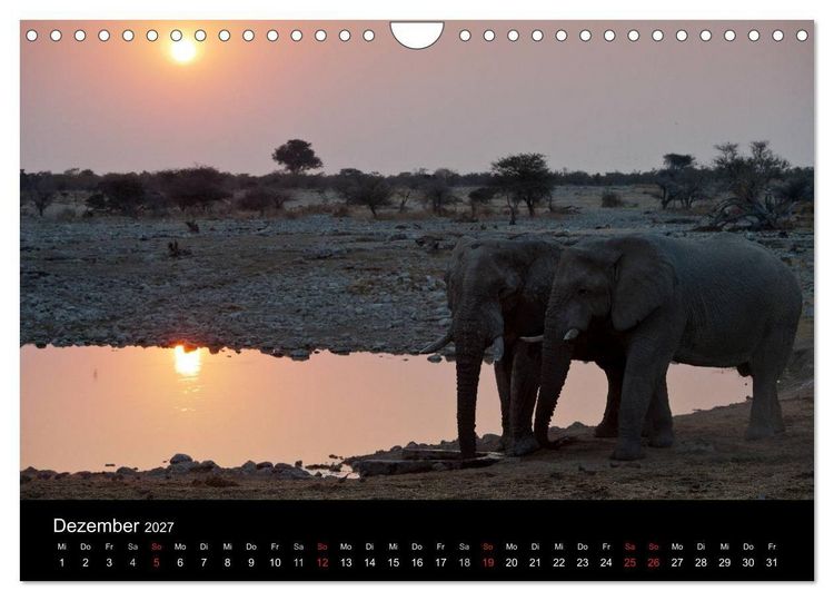 Produktbild: Wildlife Namibia (Wandkalender 2027 DIN A4 quer), CALVENDO Monatskalender
