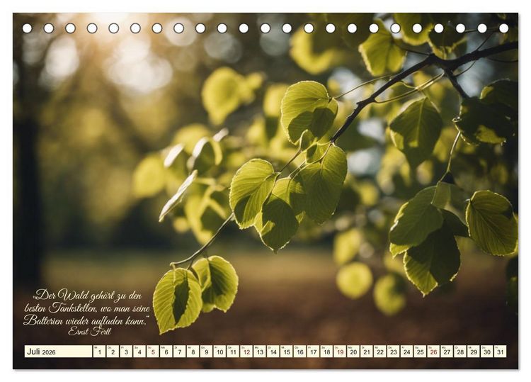 Produktbild: Waldbaden - Shinrin Yoku (Tischkalender 2026 DIN A5 quer), CALVENDO Monatskalender
