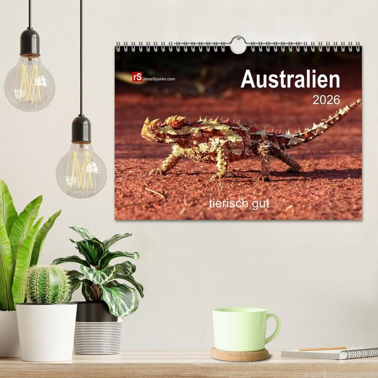 Produktbild: Australien tierisch gut 2026 (Wandkalender 2026 DIN A4 quer), CALVENDO Monatskalender