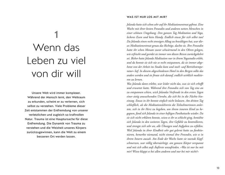 Produktbild: Bin ich traumatisiert?
