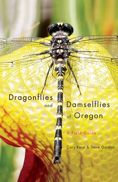 Produktbild: Dragonflies and Damselflies of Oregon: A Field Guide