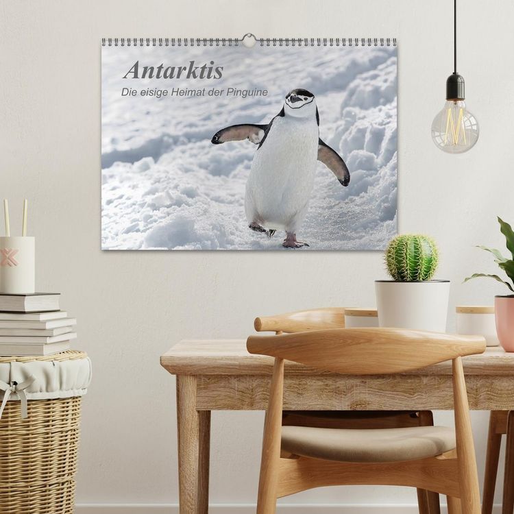 Produktbild: Antarktis, die eisige Heimat der Pinguine (Wandkalender 2026 DIN A3 quer), CALVENDO Monatskalender