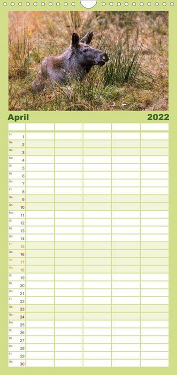 Produktbild: Familienplaner Die lieben Kleinen ... Tierkinder einfach zum Knuddeln (Wandkalender 2022 , 21 cm x 45 cm, hoch)