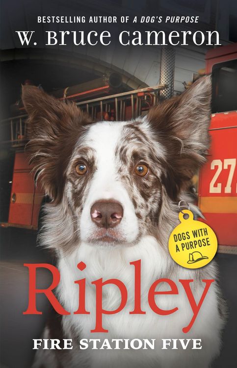 Produktbild: Ripley: Fire Station Five