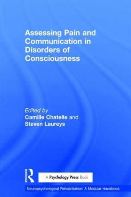 Produktbild: Assessing Pain and Communication in Disorders of Consciousness
