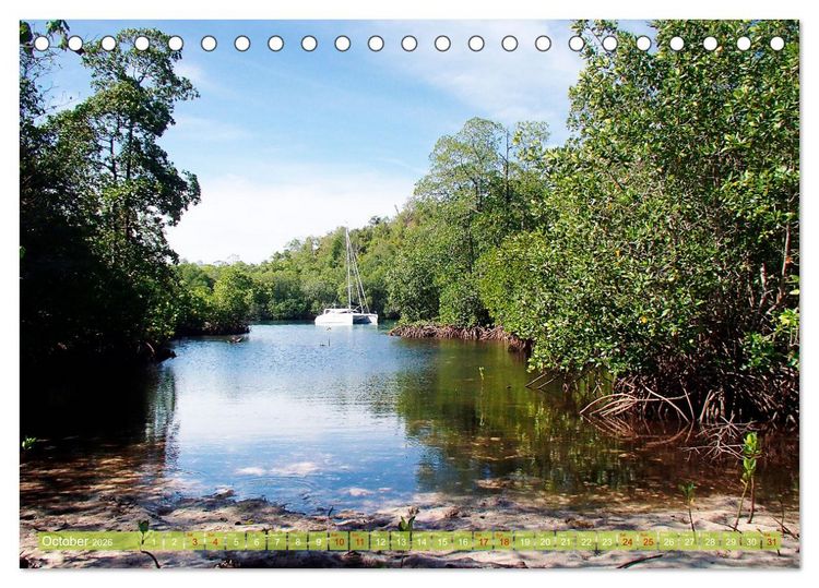Produktbild: Mangroves - Valuable Habitat (Desk Calendar 2026 DIN A5 landscape), CALVENDO 12 Month DeskCalendar