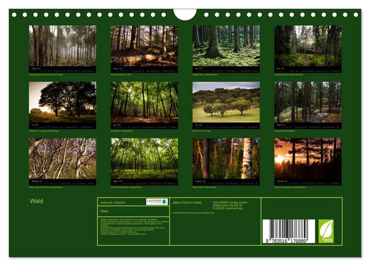 Produktbild: Wald (Wandkalender 2026 DIN A4 quer), CALVENDO Monatskalender