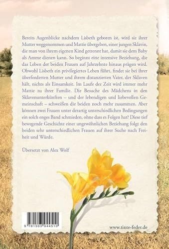 Produktbild: Gelber Krokus