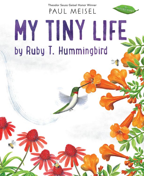 Produktbild: My Tiny Life by Ruby T. Hummingbird