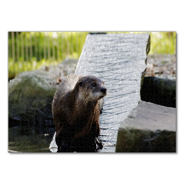 Produktbild: Lais Puzzle Otter 1000 Teile