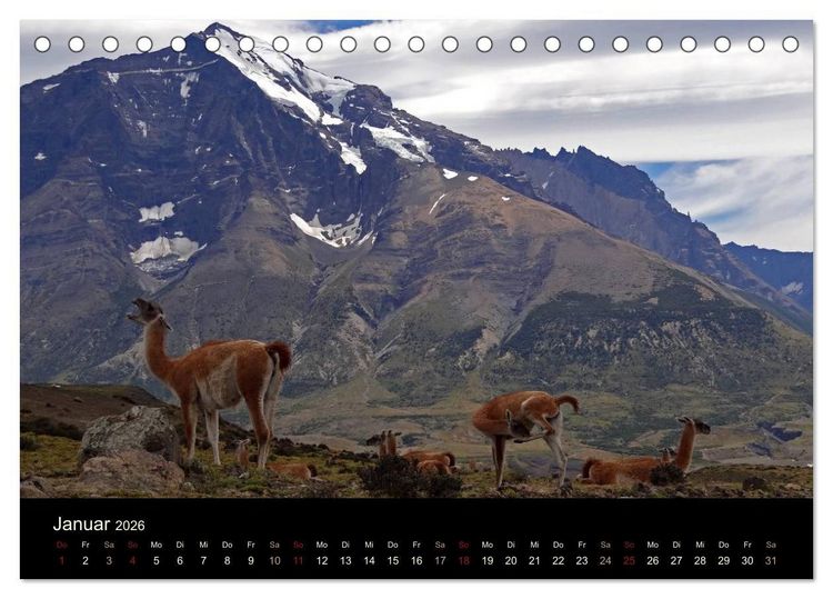 Produktbild: Im Nationalpark Torres del Paine (Chile) (Tischkalender 2026 DIN A5 quer), CALVENDO Monatskalender