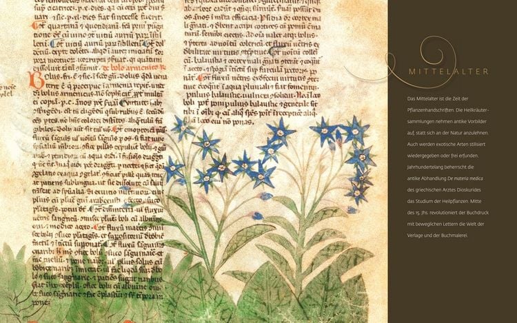 Produktbild: Im Garten Eden