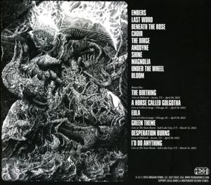 Produktbild: STONE(Deluxe Edition)