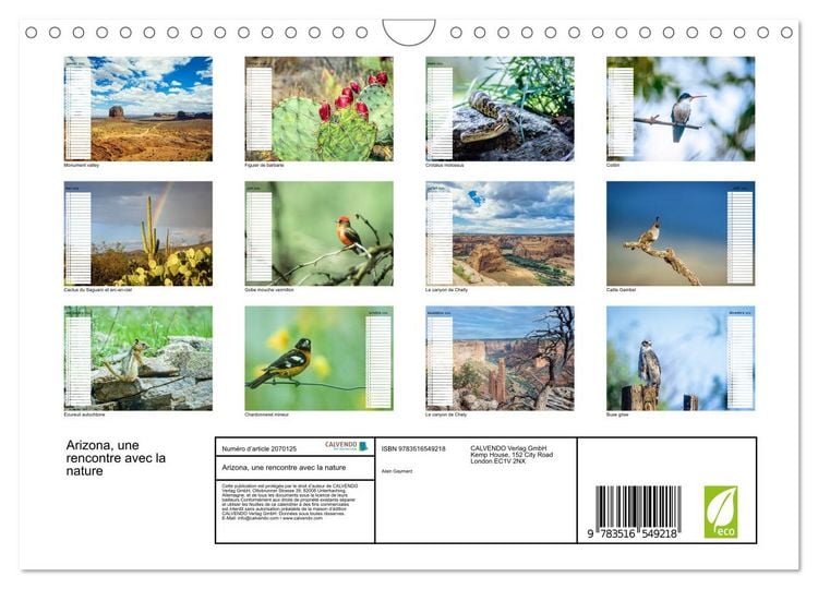 Produktbild: Arizona, une rencontre avec la nature (Calendrier mural 2026 DIN A4 vertical), CALVENDO calendrier mensuel