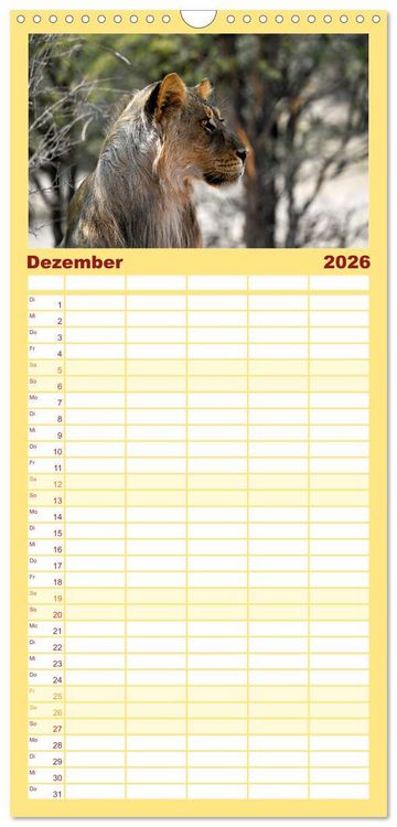 Produktbild: Familienplaner 2026 - Kgalagadi - Fauna und Wildtiere in der Kalahari mit 5 Spalten (Wandkalender, 21 x 45 cm) CALVENDO