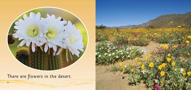 Produktbild: In the Desert