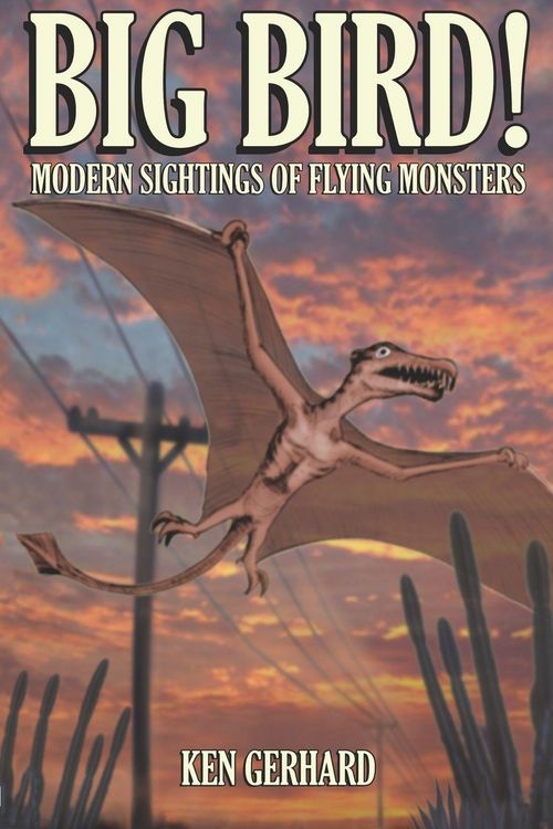Produktbild: Big Bird! - Modern Sightings Of Flying Monsters