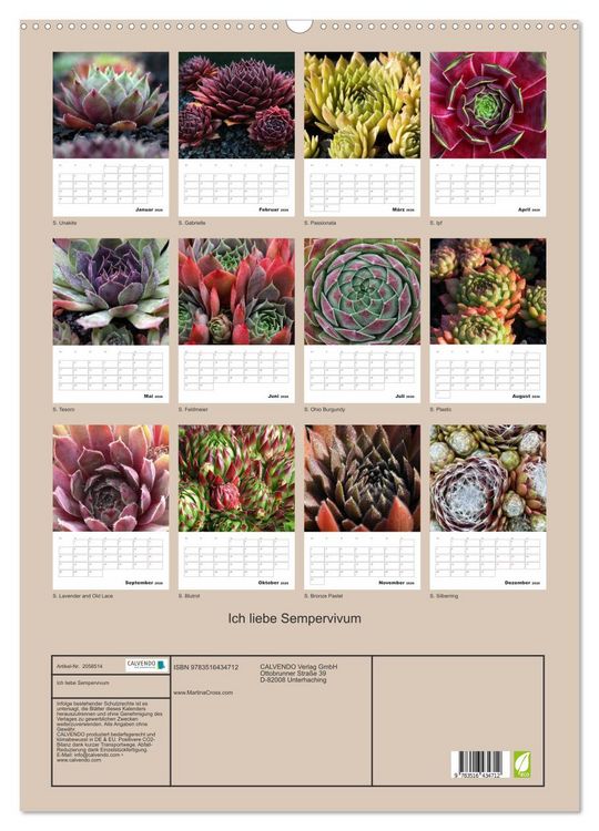 Produktbild: Ich liebe Sempervivum (Wandkalender 2026 DIN A2 hoch), CALVENDO Monatskalender