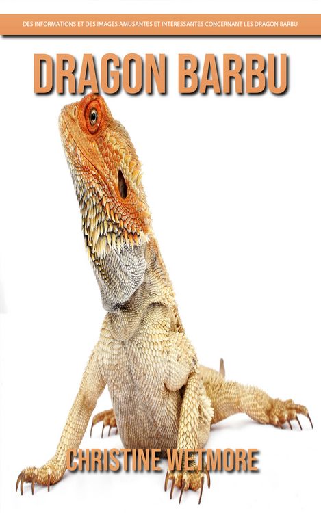 Produktbild: Dragon Barbu - Des Informations et des Images Amusantes et Int&eacute;ressantes concernant les Dragon Barbu