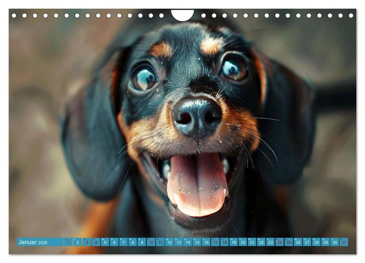 Produktbild: L&auml;chelnde Hunde sind wie Sonnenschein auf vier Pfoten (Wandkalender 2026 DIN A4 quer), CALVENDO Monatskalender