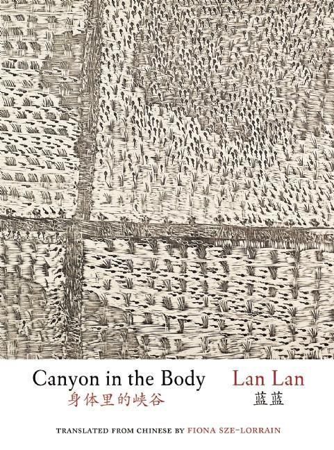 Produktbild: Canyon in the Body