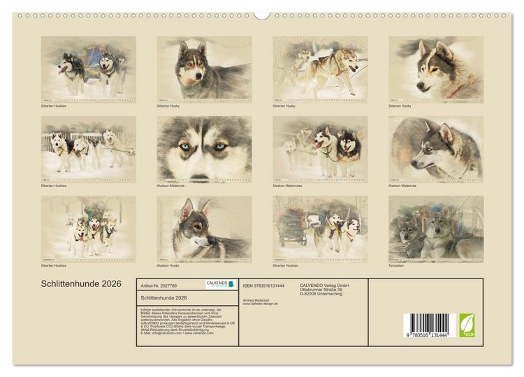 Produktbild: Schlittenhunde 2026 (hochwertiger Premium Wandkalender 2026 DIN A2 quer), Kunstdruck in Hochglanz