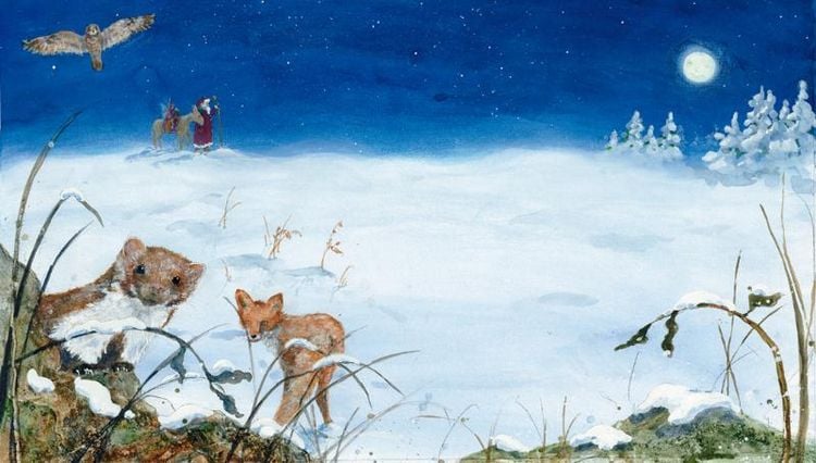 Produktbild: Die kleine Elfe feiert Weihnachten