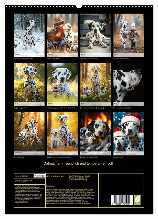 Produktbild: Dalmatiner - freundlich und temperamentvoll (hochwertiger Premium Wandkalender 2026 DIN A2 hoch), Kunstdruck in Hochglanz