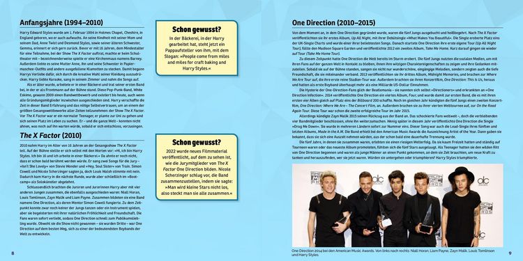Produktbild: Tribute Edition Harry Styles Mosaik Stickerbuch
