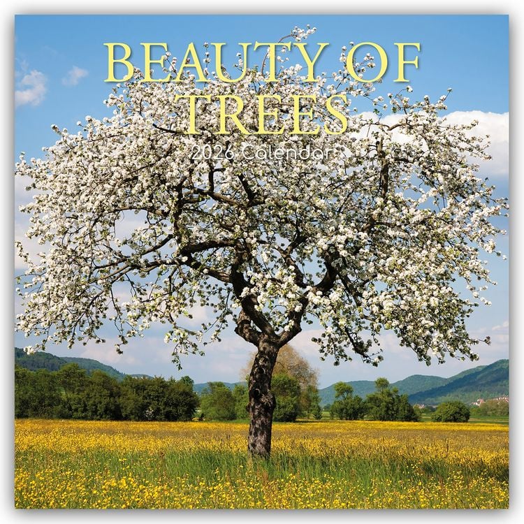 Produktbild: Beauty of Trees – Die Schönheit der Bäume 2026 – 16-Monatskalender