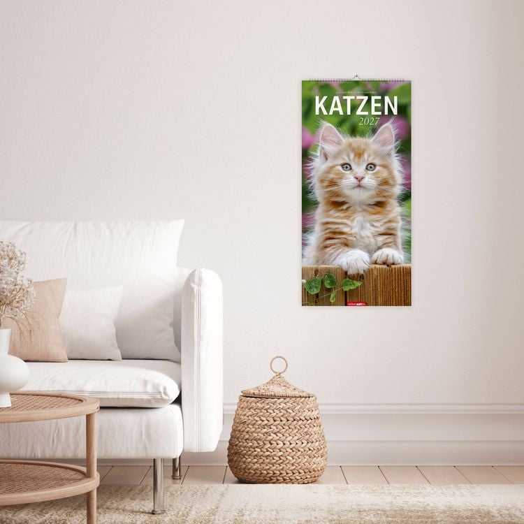Produktbild: Katzen Kalender 2027
