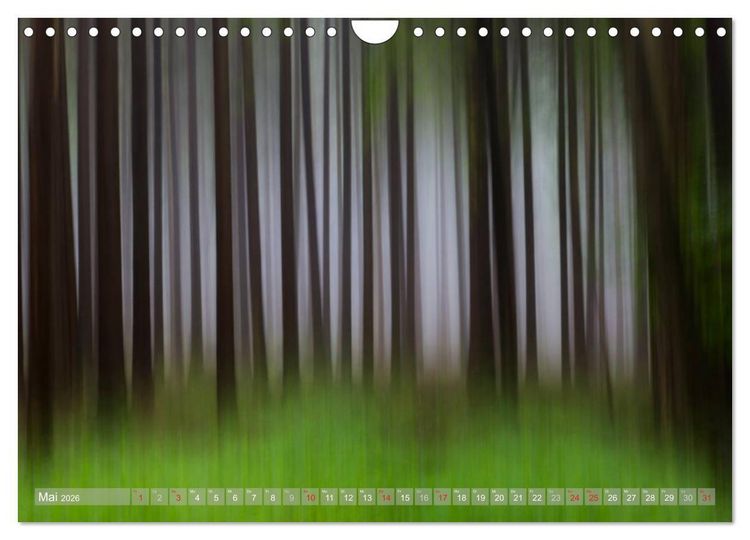 Produktbild: Atelier Wald - gemalt mit Licht (Wandkalender 2026 DIN A4 quer), CALVENDO Monatskalender