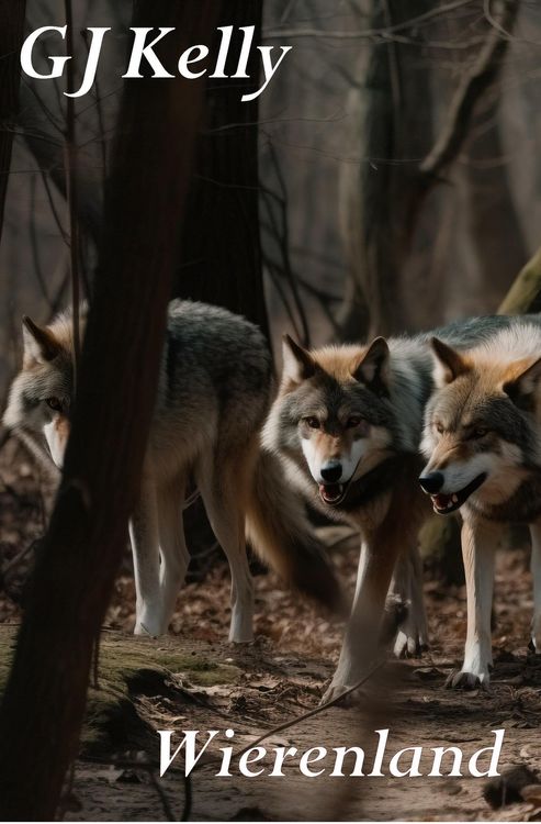 Produktbild: Wierenland (Farrian, #2)
