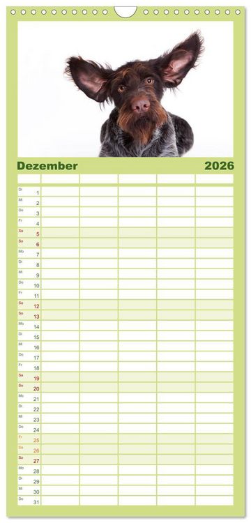 Produktbild: Familienplaner 2026 - SCHLAPPOHREN mit 5 Spalten (Wandkalender, 21 x 45 cm) CALVENDO