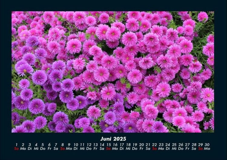 Produktbild: Blumenzauber 2025 Fotokalender DIN A4