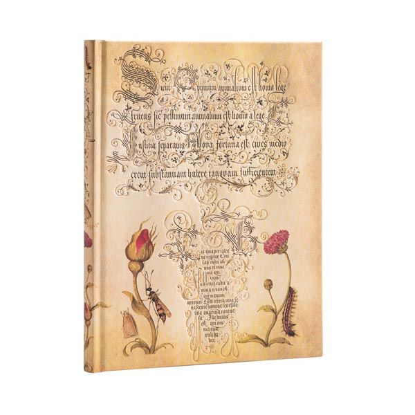 Produktbild: Hardcover Notizbuch Fl&auml;mische Rose, Ultra, Liniert