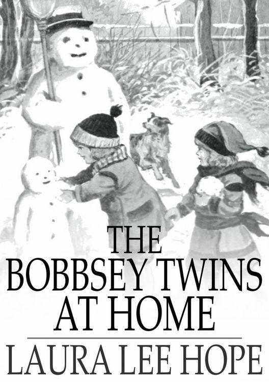 Produktbild: Bobbsey Twins at Home