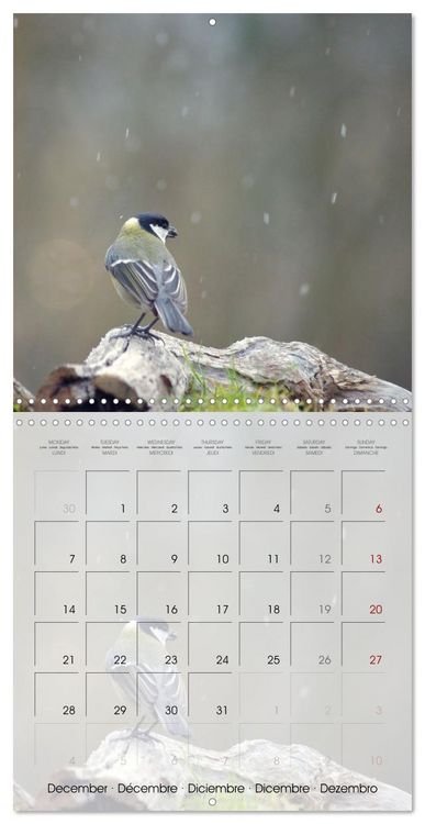 Produktbild: Le jardin des m&eacute;sanges (Calendrier mural carr&eacute; 2026 30x30 cm) Calendrier double avec une page pour vos prises de notes