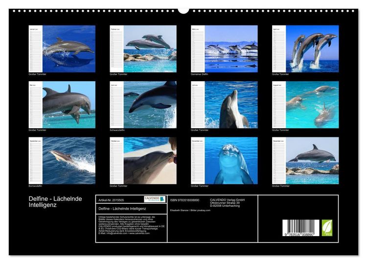 Produktbild: Delfine - L&auml;chelnde Intelligenz (hochwertiger Premium Wandkalender 2026 DIN A2 quer), Kunstdruck in Hochglanz