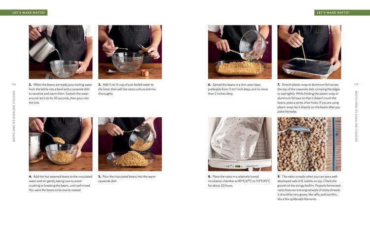 Produktbild: Miso, Tempeh, Natto & Other Tasty Ferments