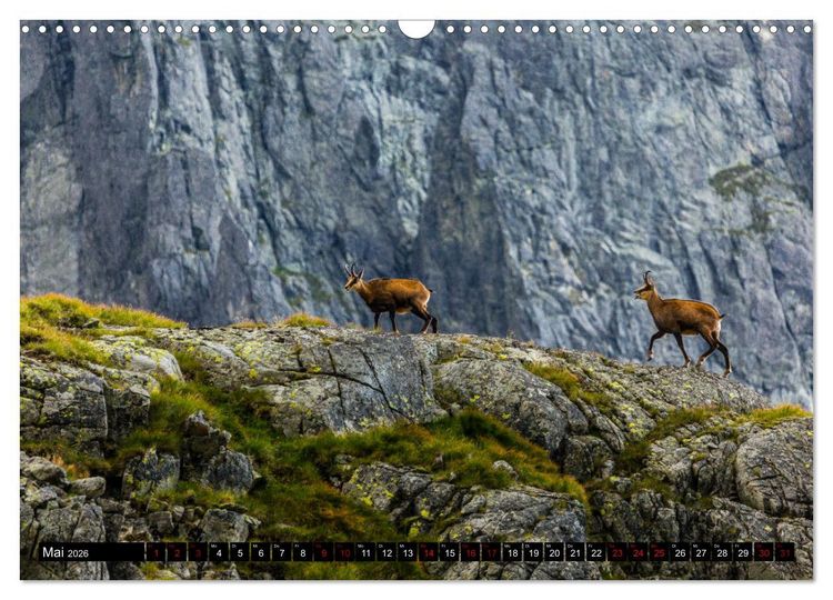 Produktbild: Tatra. Polen und Slowakei (Wandkalender 2026 DIN A3 quer), CALVENDO Monatskalender